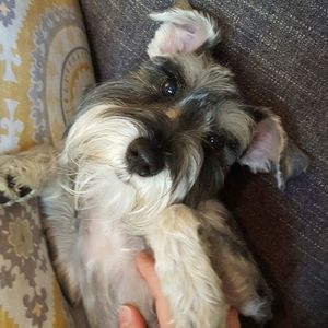 Meet your Posher, Michelle