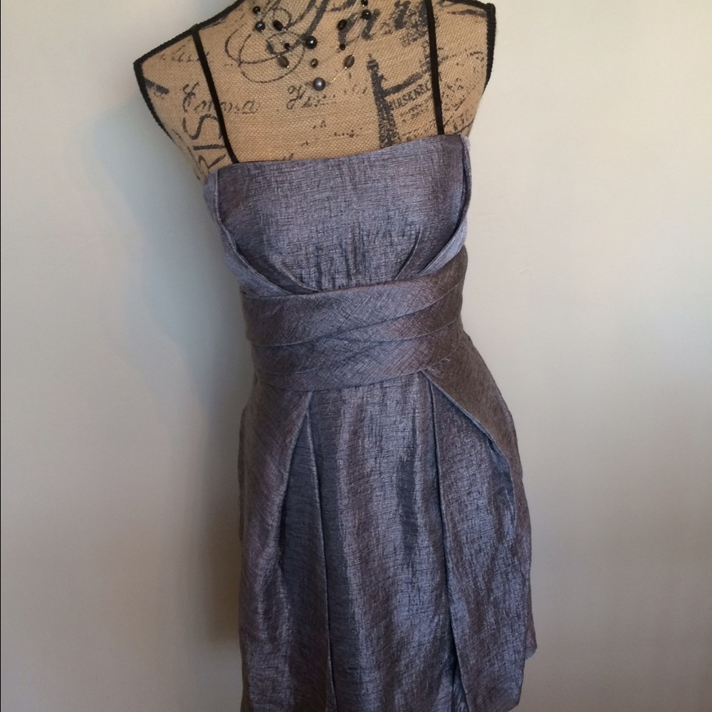Maxandcleo beautiful silver lined dress