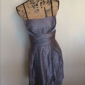 Maxandcleo beautiful silver lined dress