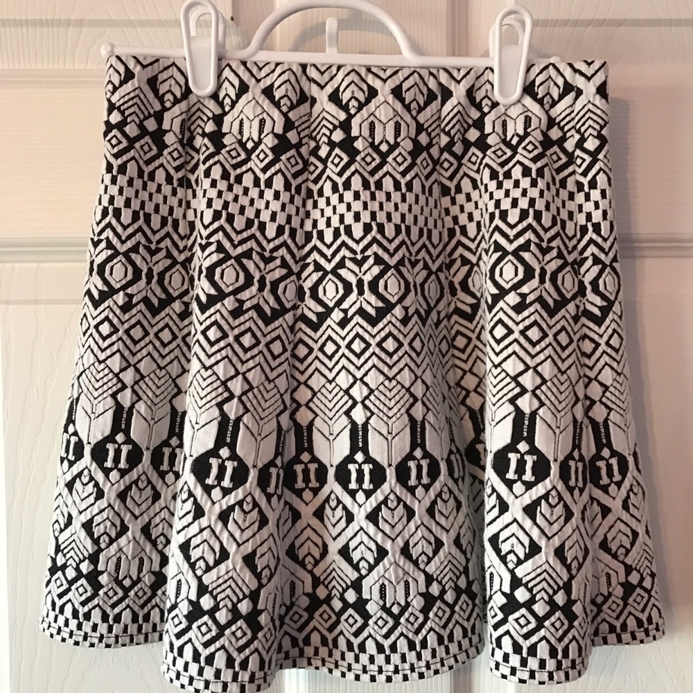 Black and White Skirt