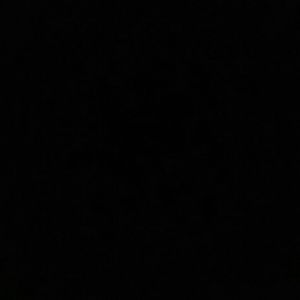 Meet your Posher, Dontee