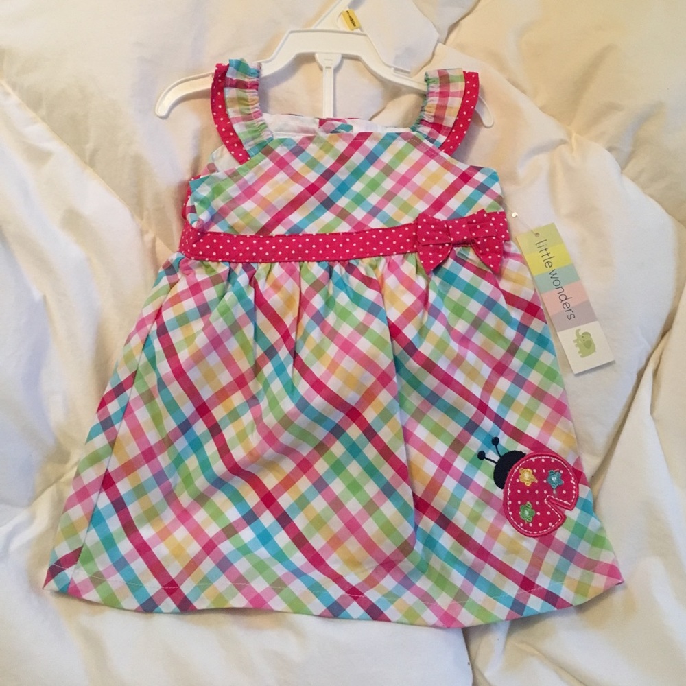 Ladybug embroidered dress
