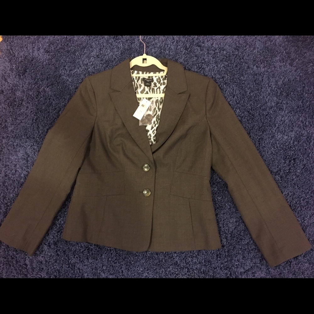 Ann Taylor Size 14 Curvy Lined Brown Suit