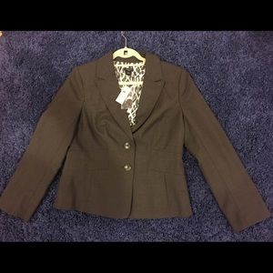 Ann Taylor Size 14 Curvy Lined Brown Suit