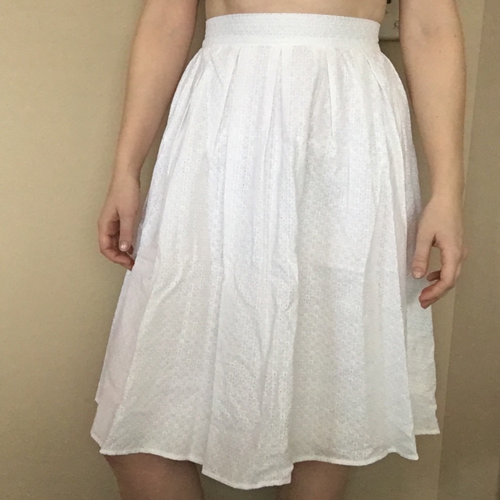 Zara Eyelit Midi Skirt