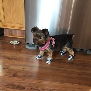 Meet your Posher, Linda