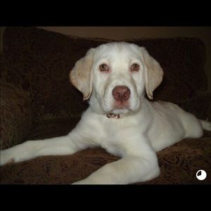 Meet your Posher, Kerry