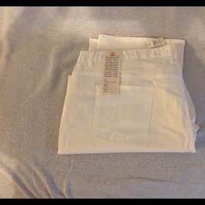 NWT Talbots off white boot cut pant 24w