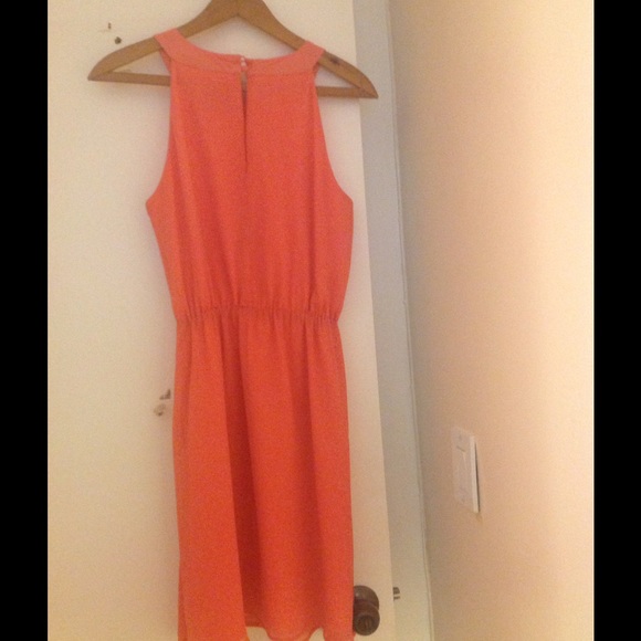 Dress - Picture 4 of 4