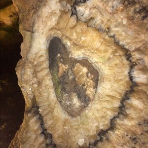 Meet your Posher, Jill