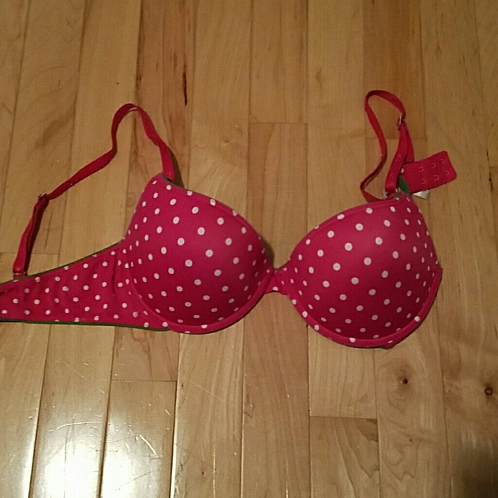 Aerie Paige bra