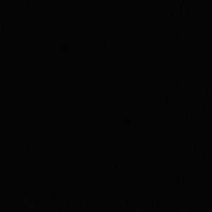 Meet your Posher, Lilly