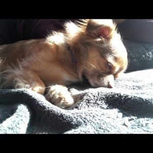 Meet your Posher, Samantha