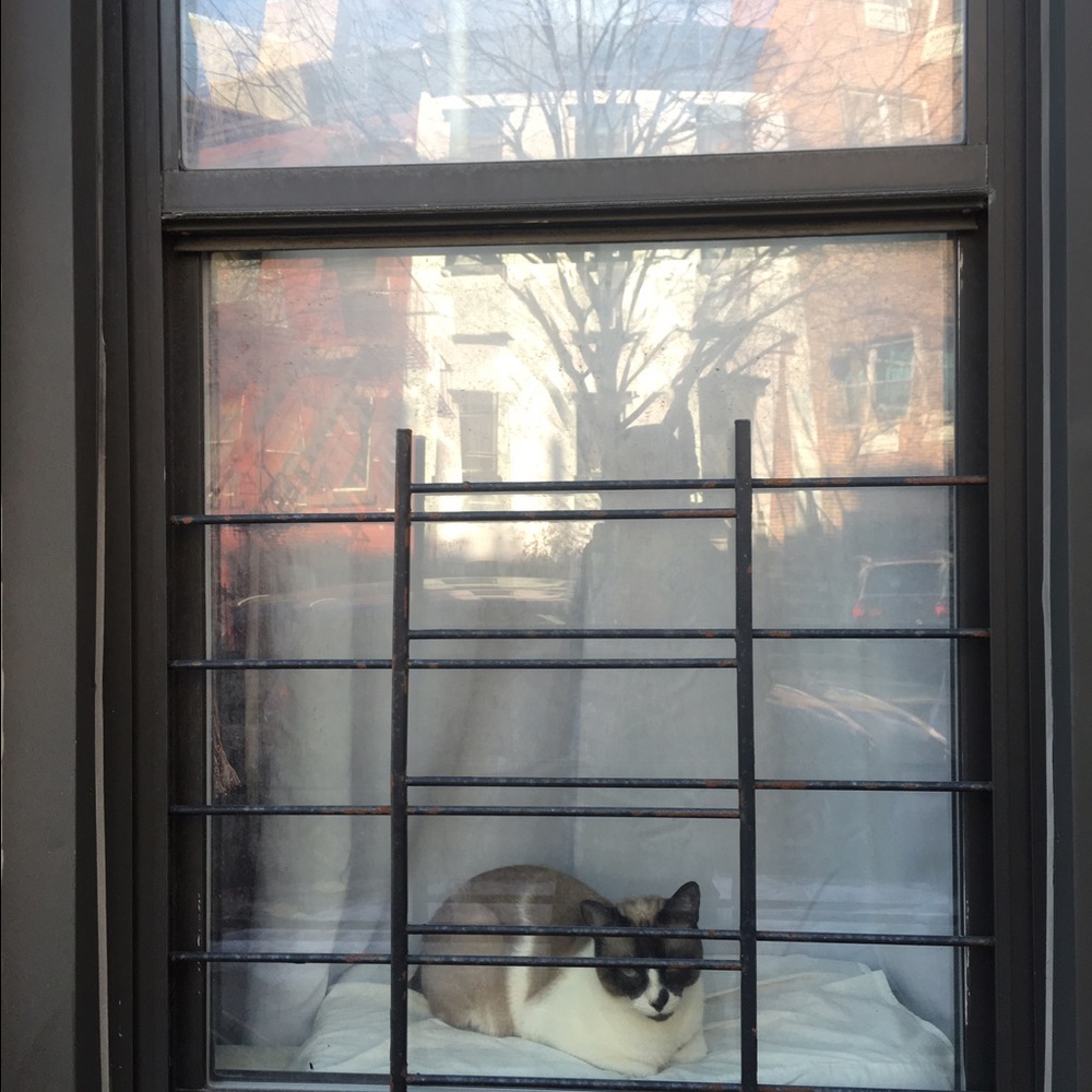 Meet your Posher, Taji