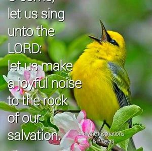 Meet your Posher, Vernice