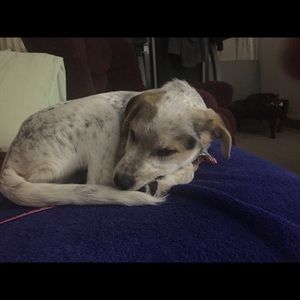 Meet your Posher, Marsha