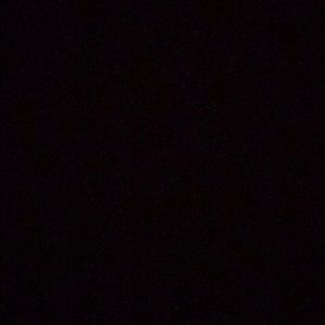 Meet your Posher, Dexter