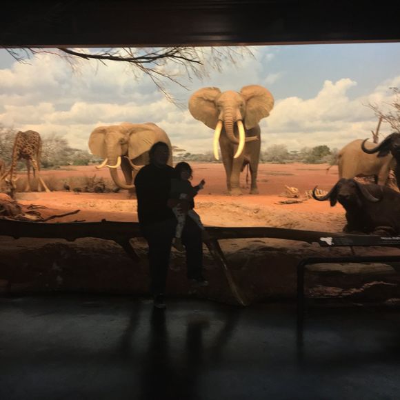 Meet your Posher, Joel - Picture 1 of 1