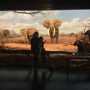 Meet your Posher, Joel