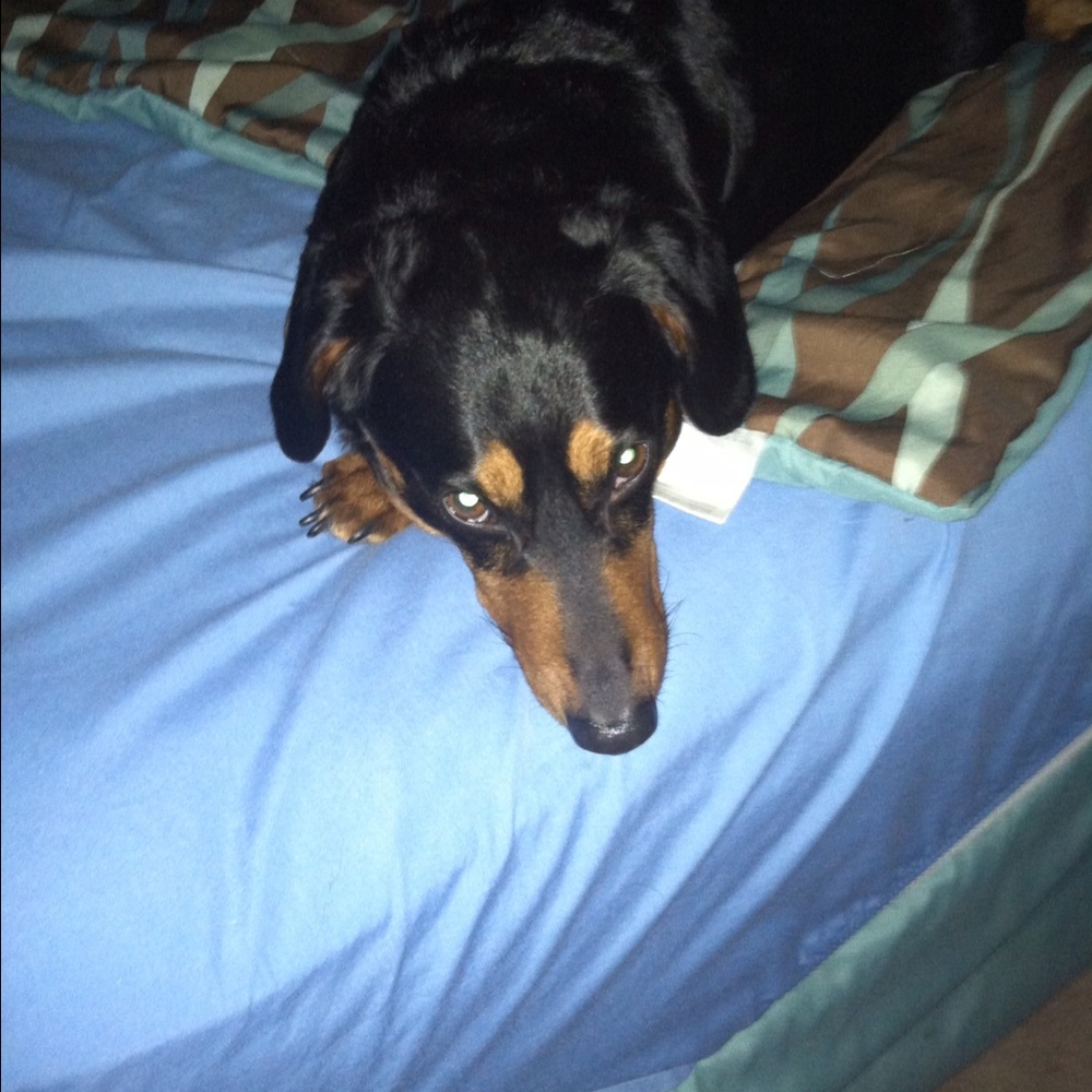 Meet your Posher, Lisa