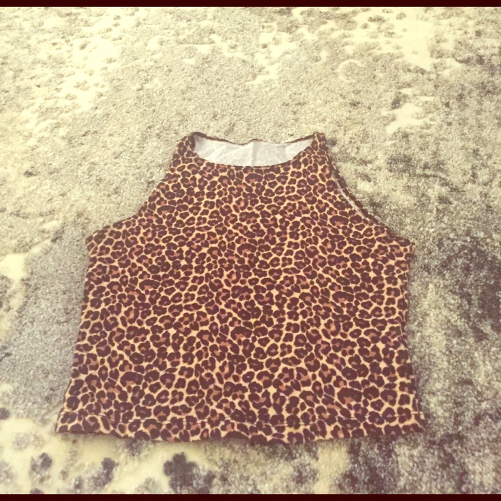 American Apparel Cheetah Crop Top