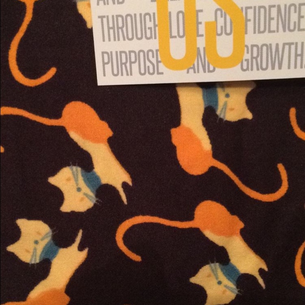 😺😺nwot Lularoe cat leggings