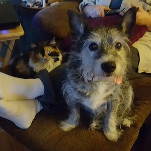 Meet your Posher, Cody