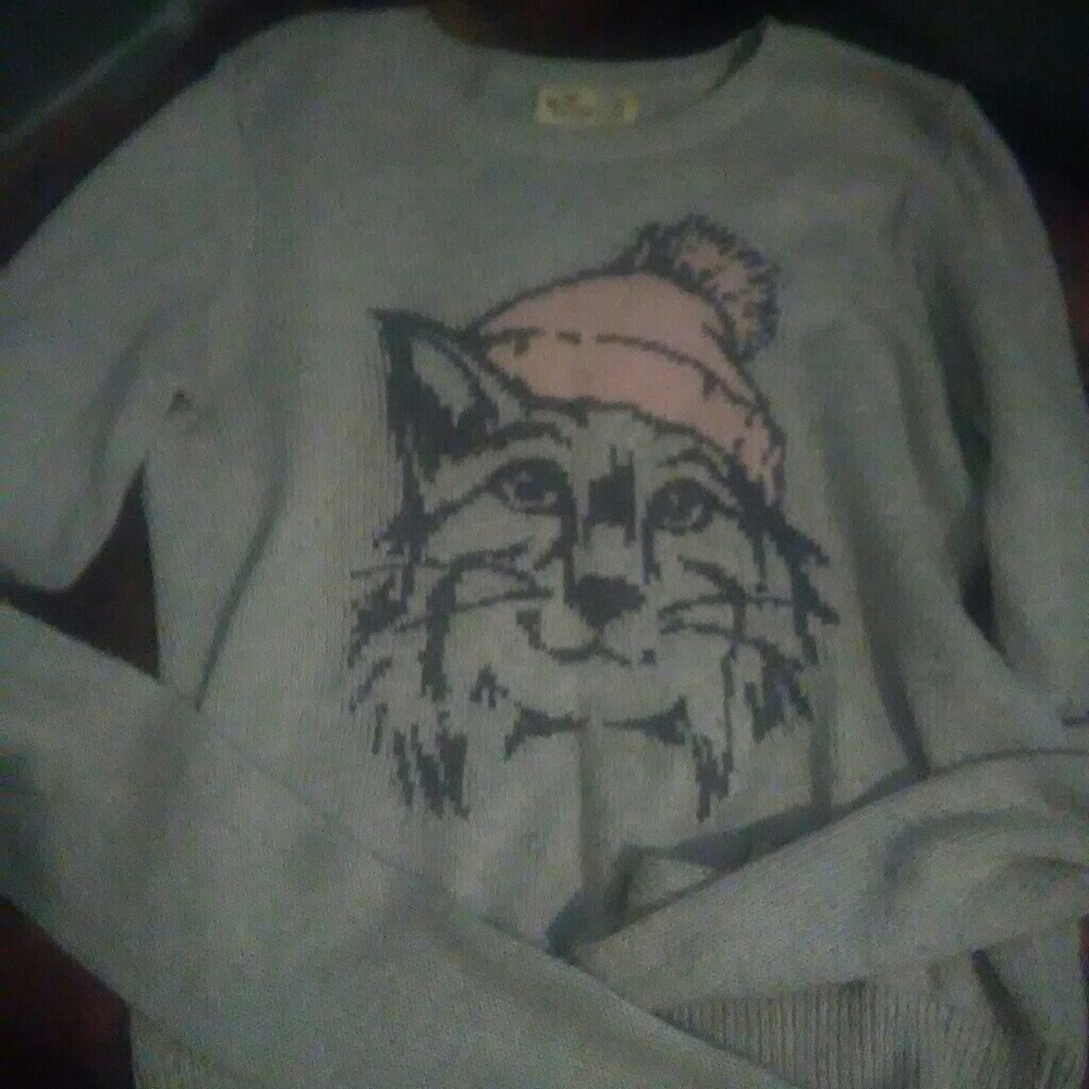 Hollister sweater