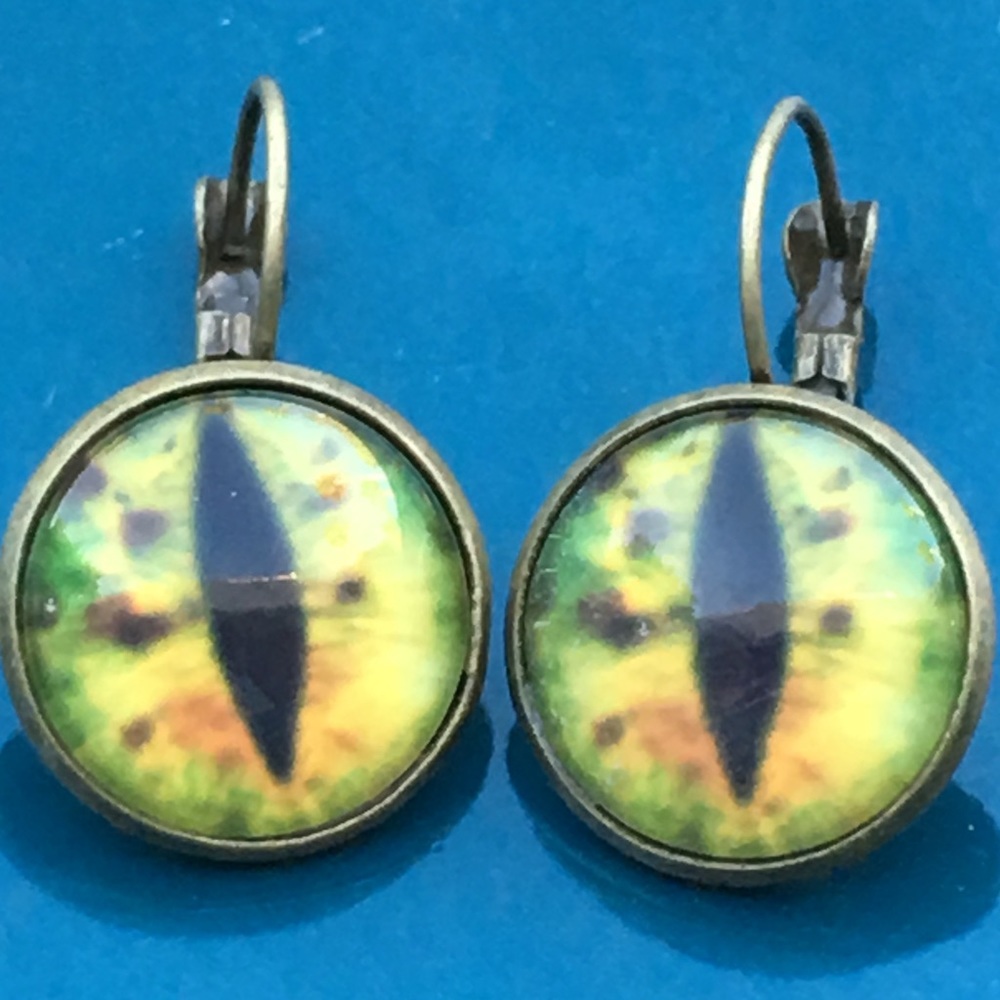 Fun cats eye or snake 🐍 eyeball earrings