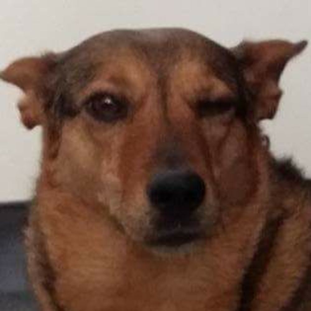 Meet your Posher, Yeonsoo