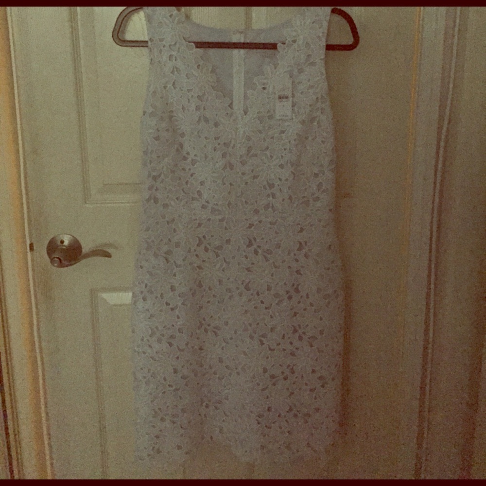 LOFT White eyelet dress with blue underlay