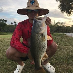 Meet your Posher, Dillon