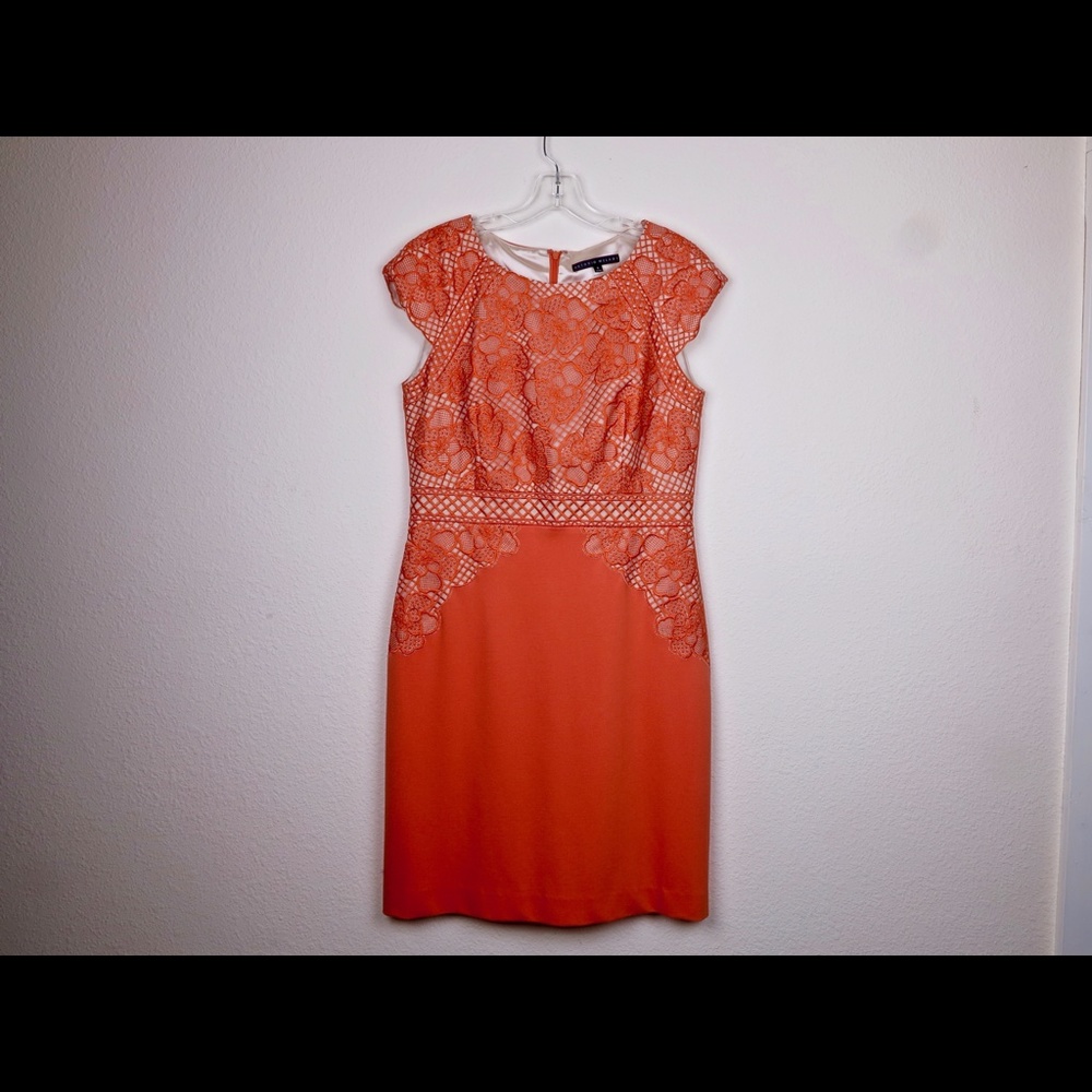Brand New! Antonio Melani Spring Dress!