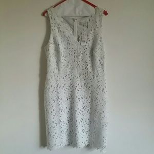 Loft White Lace Dress