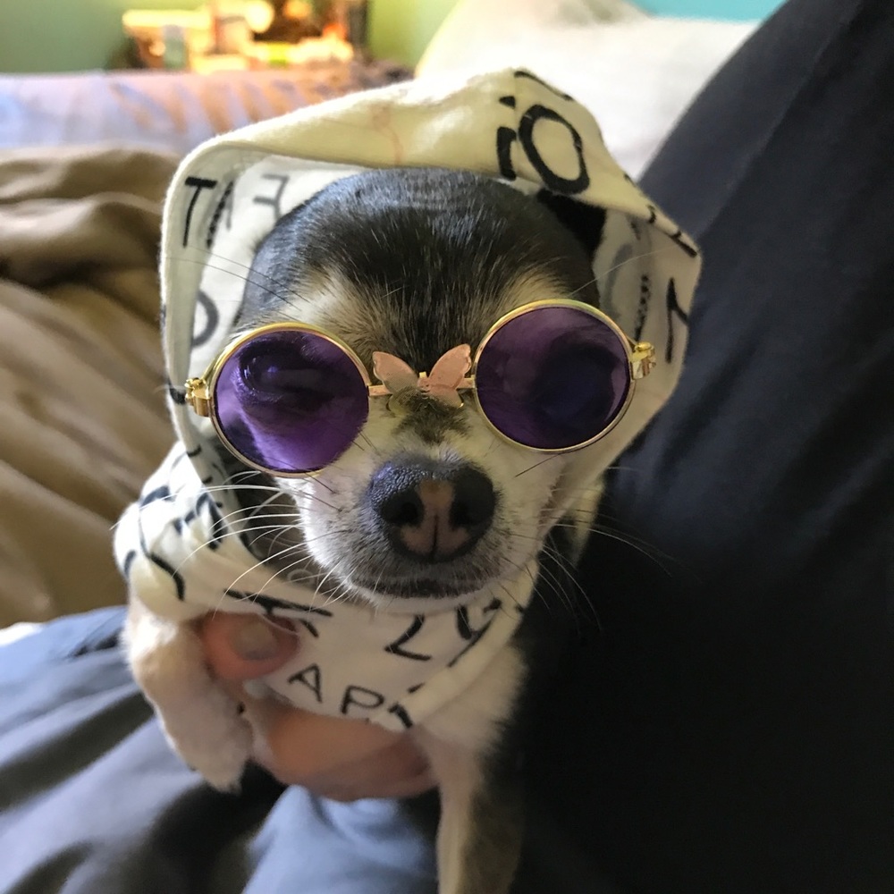 Meet your Posher, Amanda shay