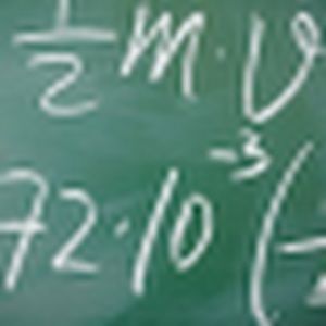 Meet your Posher, Lucy