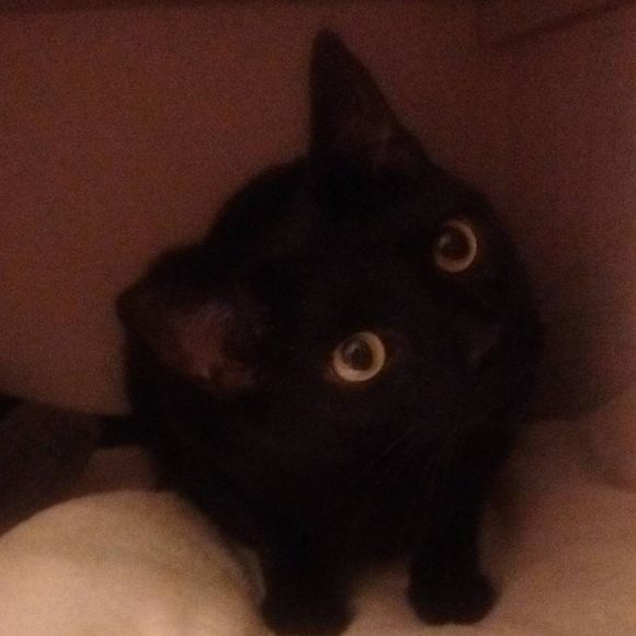 Meet your Posher, Jenniferb - Picture 1 of 1