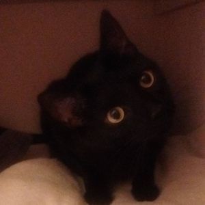 Meet your Posher, Jenniferb