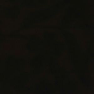 Meet your Posher, Kristel