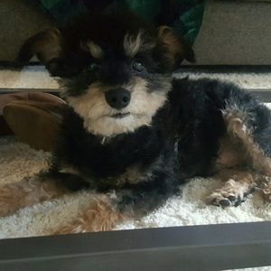 Meet your Posher, Elizabeth