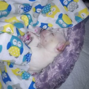 Meet your Posher, Crystal