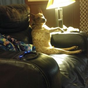 Meet your Posher, Tonya