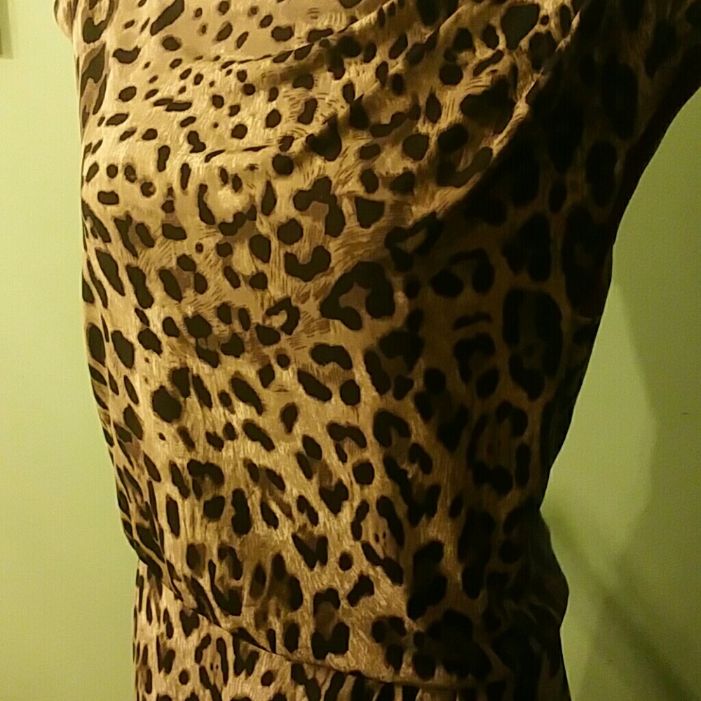 Dress - Picture 3 of 5