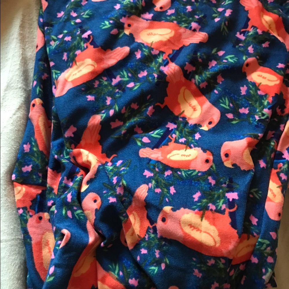 Lularoe TC leggings BN