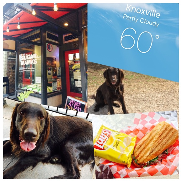 Introducing Myself!!! - Picture 3 of 4