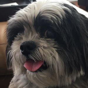 Meet your Posher, Kyle