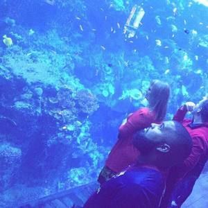 Meet your Posher, Aramis