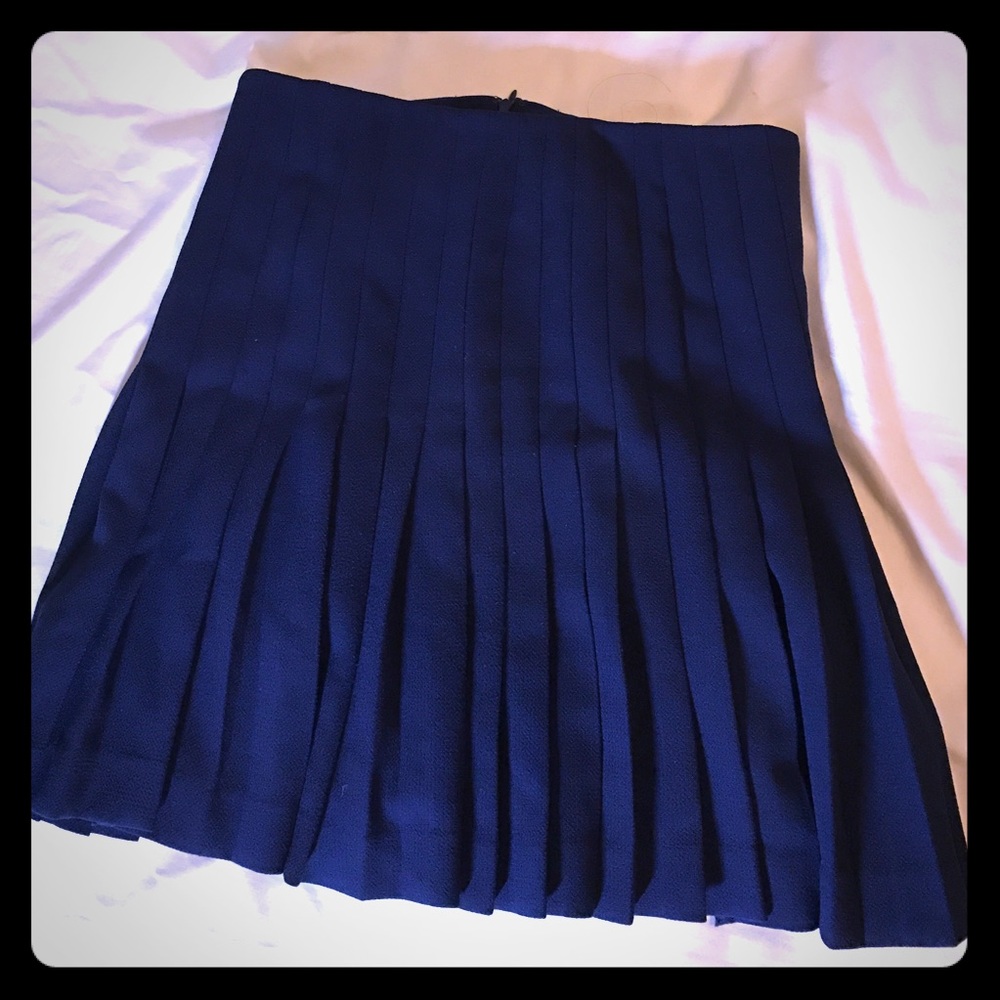 Morcollet pleated navy skirt.