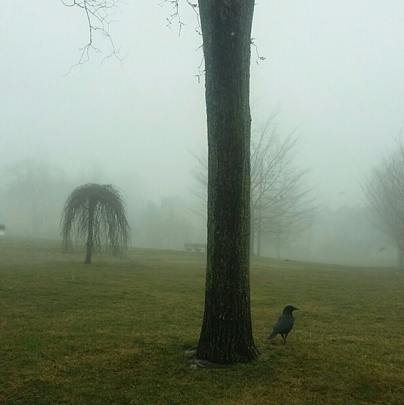 Meet your Seller/Buyer, Robyn - Picture 5 of 8