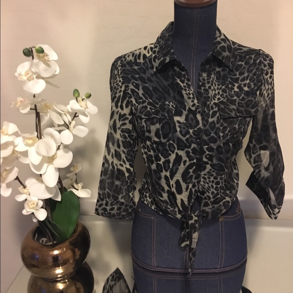 Sheer cheetah print tie front top